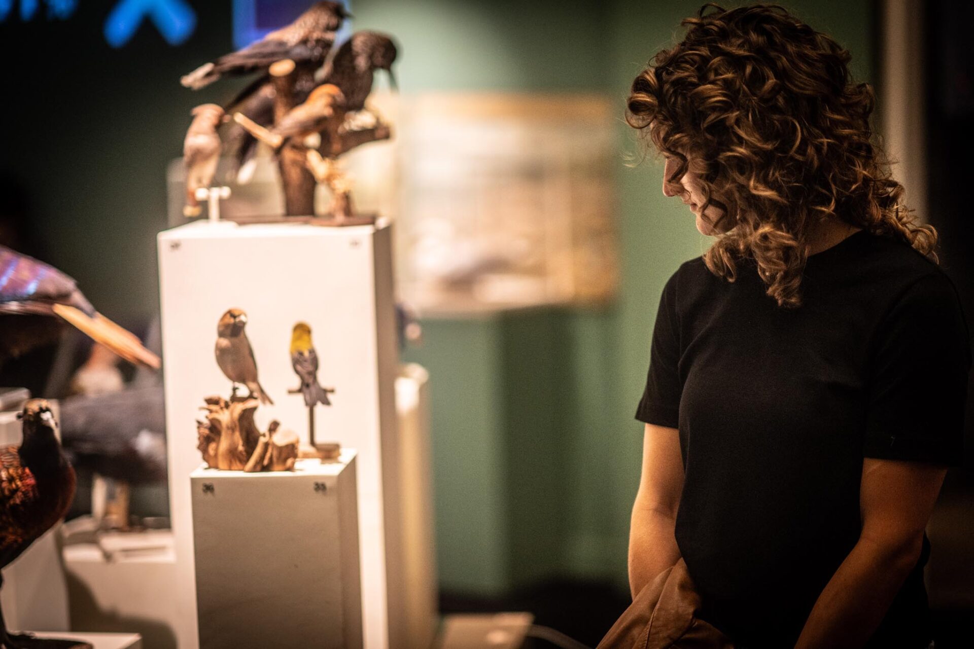 Universiteitsmuseum Groningen bezoekers