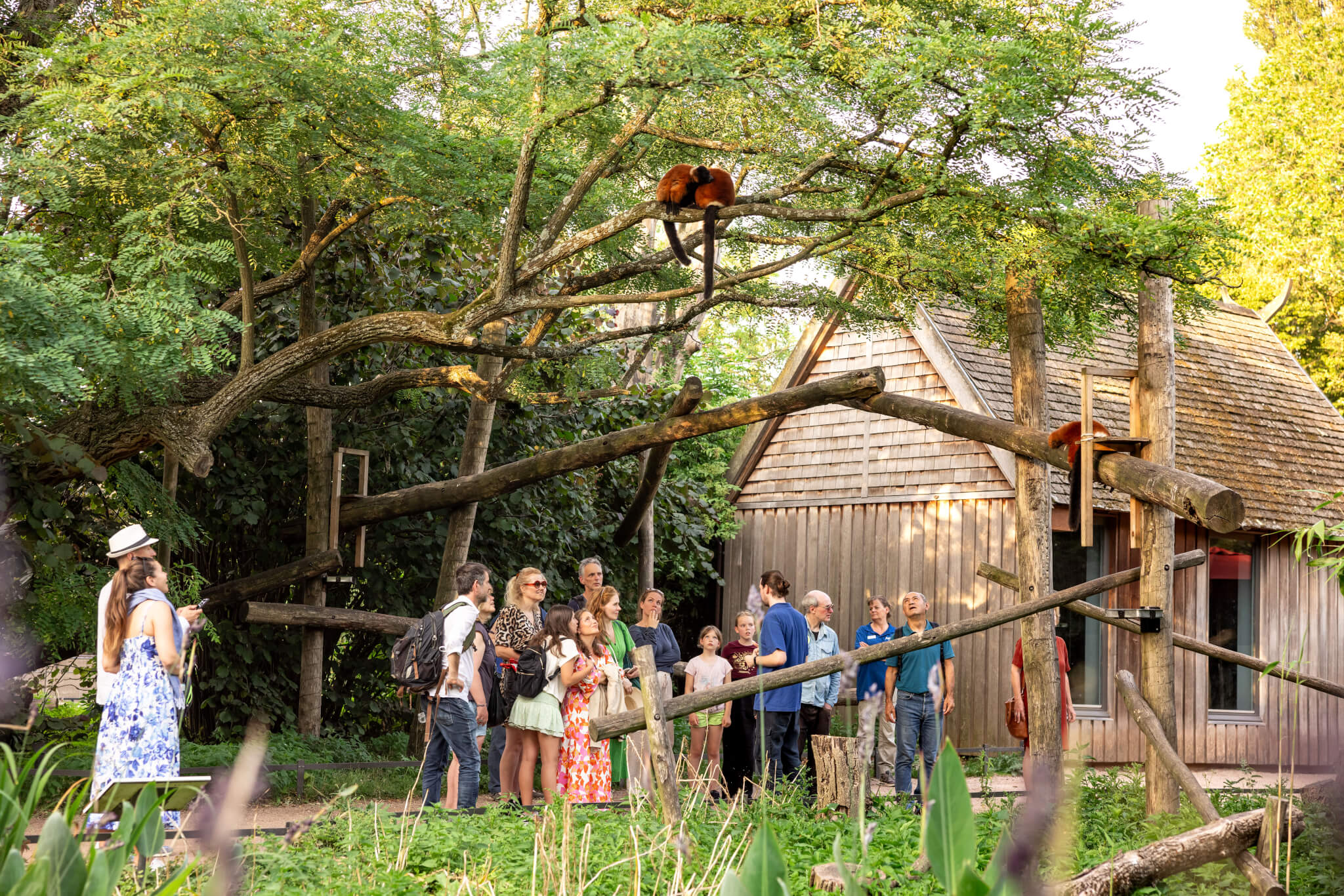 Bezoekers van ARTIS kijken naar de dieren in ARTIS